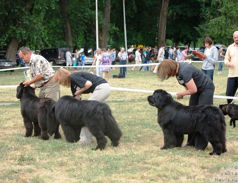 Фотография № 71092