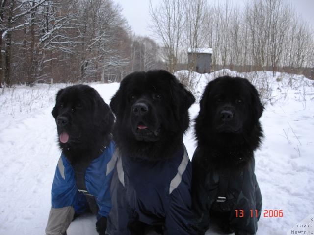 Фотография № 711