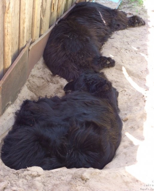 Фото: [d5672][d9336]