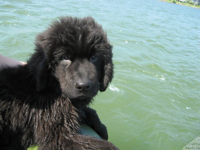 Фотография № 71193