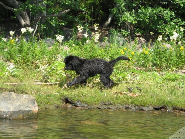 Фотография № 71194