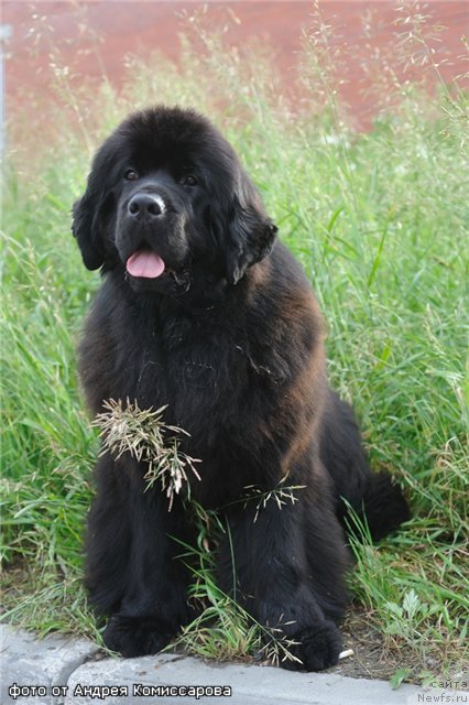 Фотография № 71198