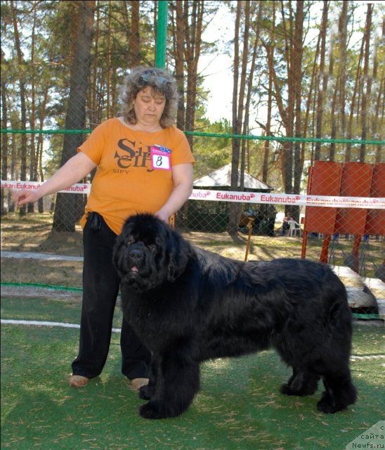 Фотография № 71201