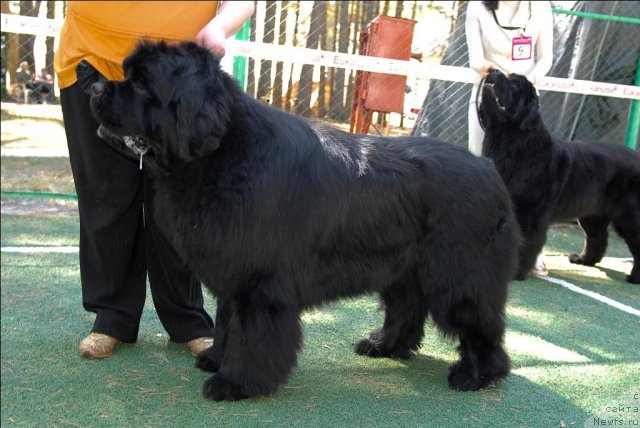 Фотография № 71207