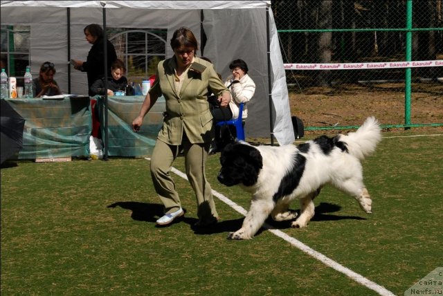 Фотография № 71227