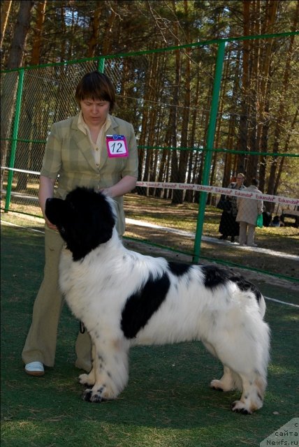 Фотография № 71228