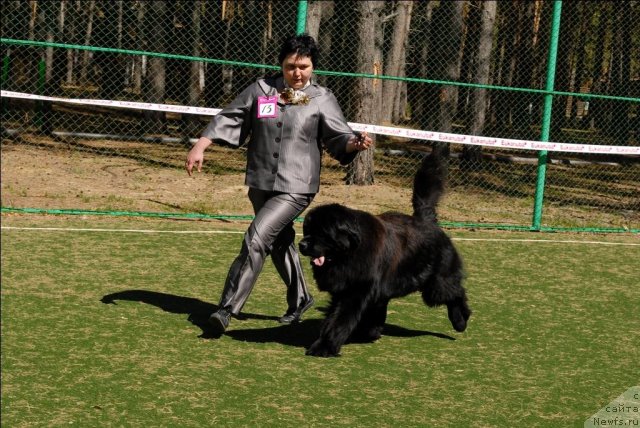 Фотография № 71229