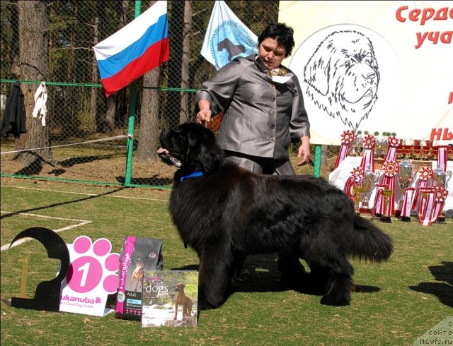 Фотография № 71231