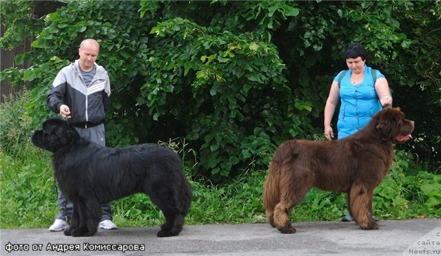 Фотография № 71245