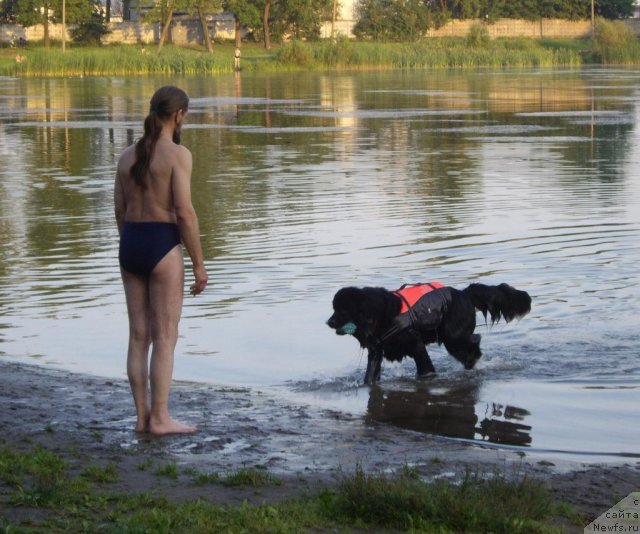 Фотография № 71248