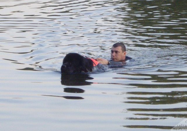 Фотография № 71250