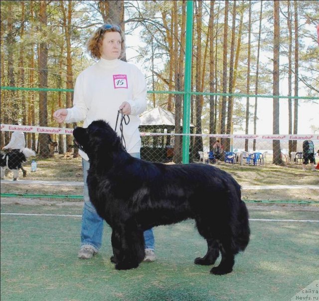 Фотография № 71258