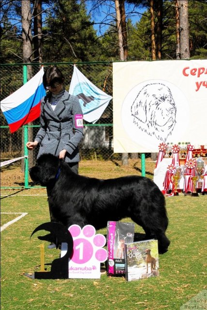 Фотография № 71261