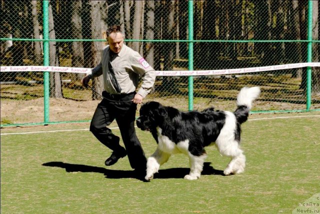 Фотография № 71264