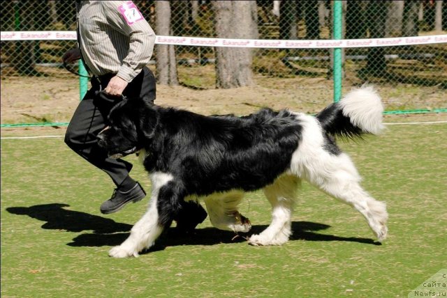 Фотография № 71266