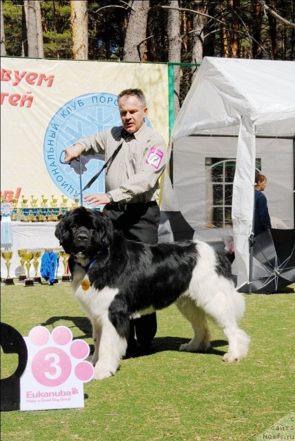 Фотография № 71267