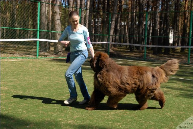 Фотография № 71268