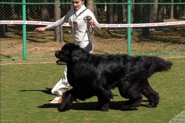 Фотография № 71276