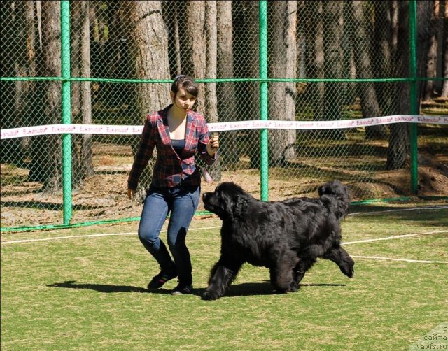 Фотография № 71385