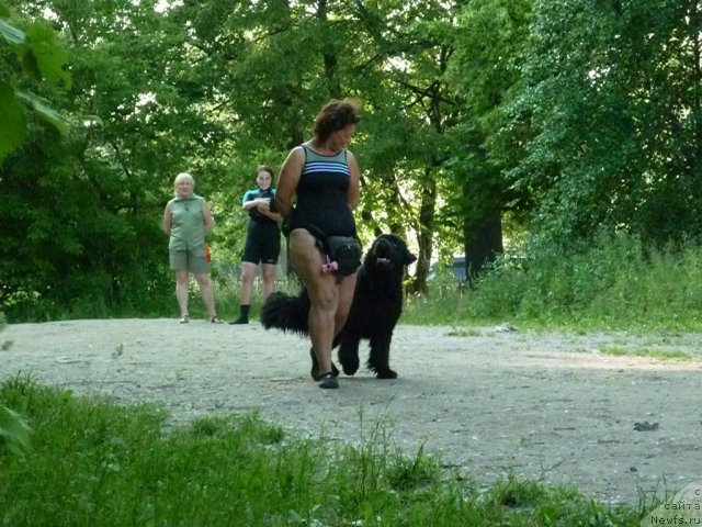 Фотография № 71438