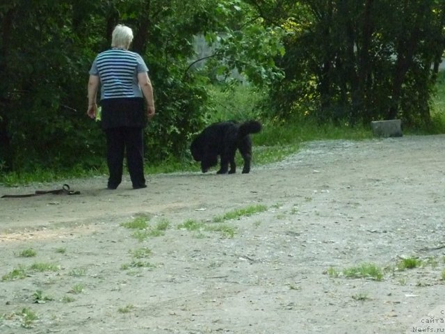 Фотография № 71441