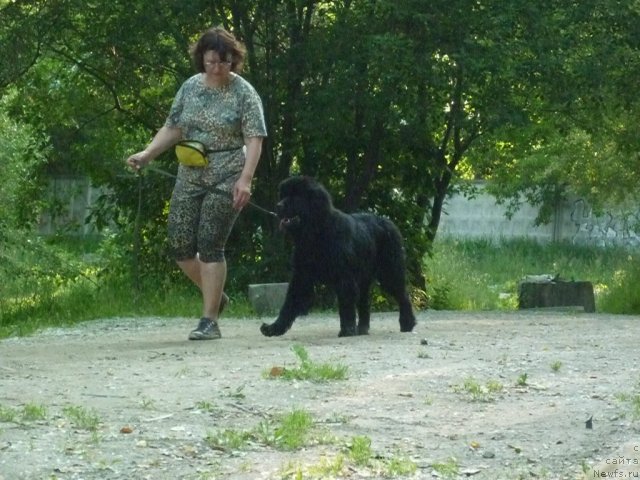 Фотография № 71442