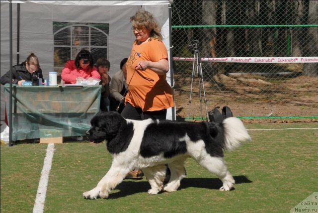 Фотография № 71450