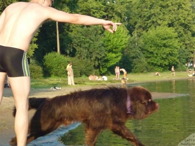 Фотография № 71470