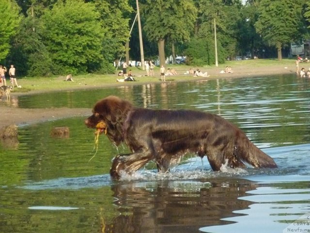 Фотография № 71471