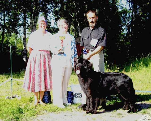 Фотография № 71497