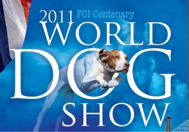 Фотография № 71499