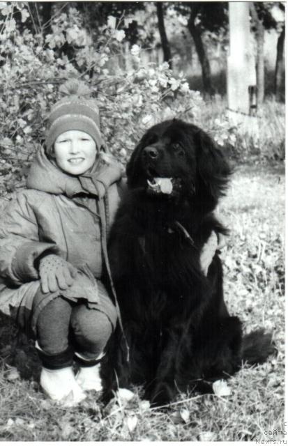 Фото: ньюфаундленд Е'Хэппи Улгрэм Ботсвейн