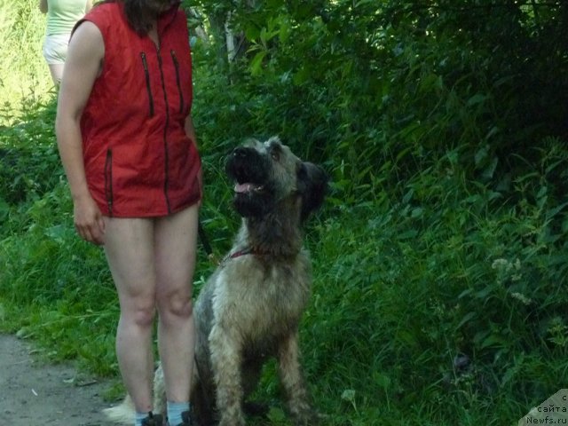 Фотография № 71506