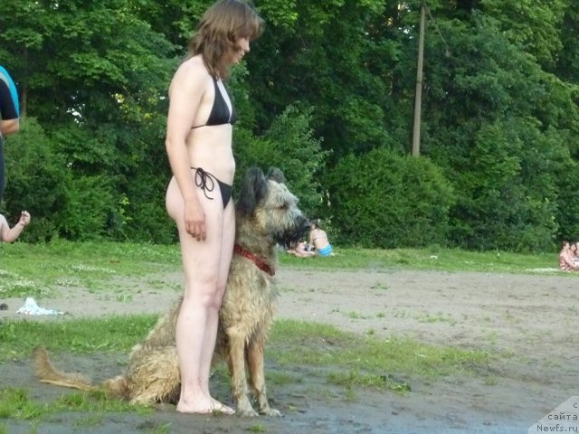 Фотография № 71510