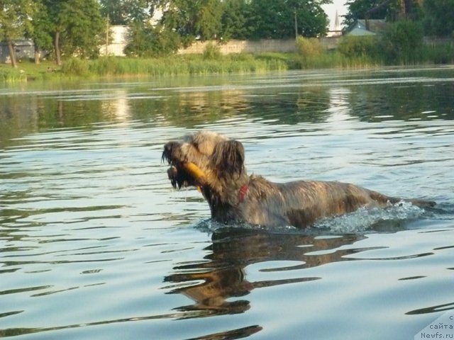 Фотография № 71512