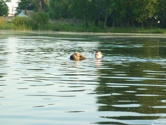 Фотография № 71514