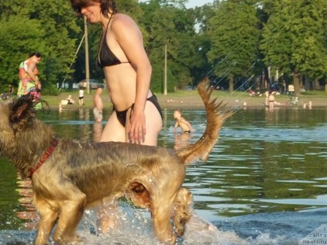 Фотография № 71517