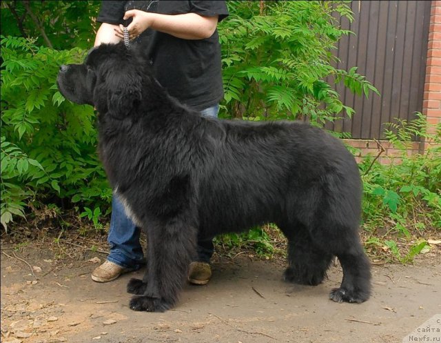 Фотография № 71523