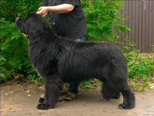 Фотография № 71524