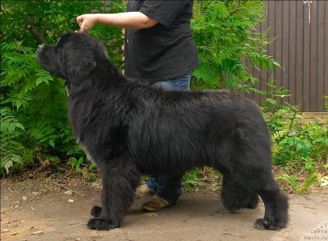 Фотография № 71525