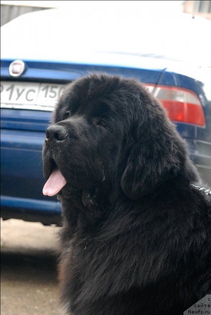 Фотография № 71528