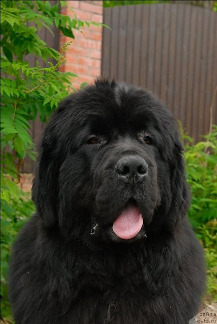 Фотография № 71531