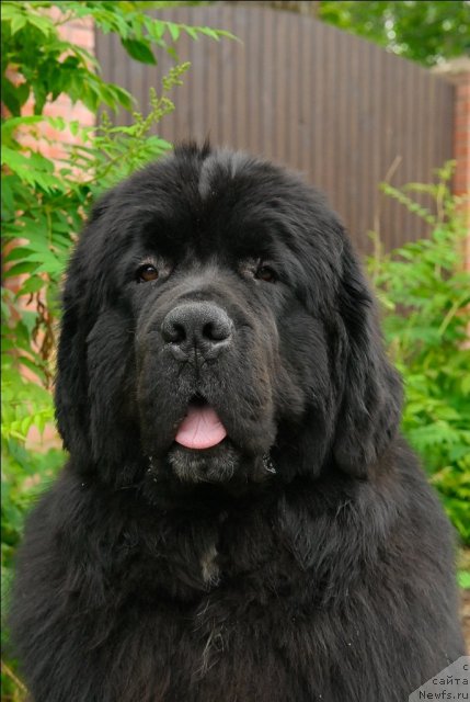 Фотография № 71532