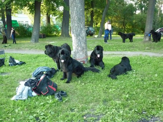 Фотография № 71552