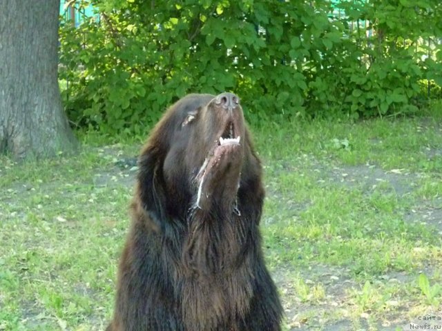 Фотография № 71563