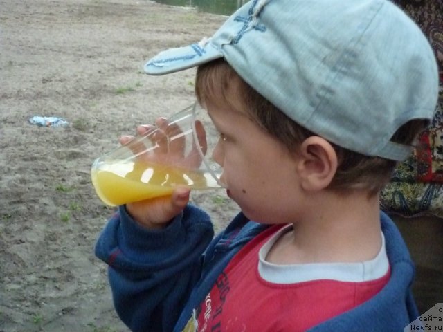 Фото: Марина Волкова