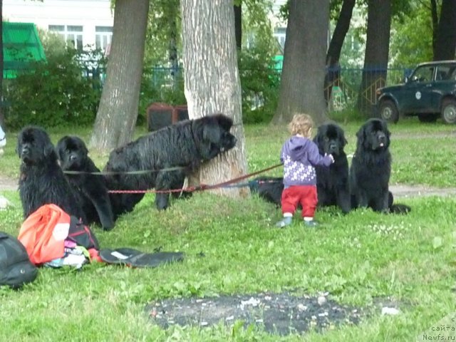 Фотография № 71570