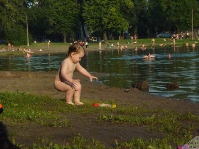 Фото: Ксения Семикова