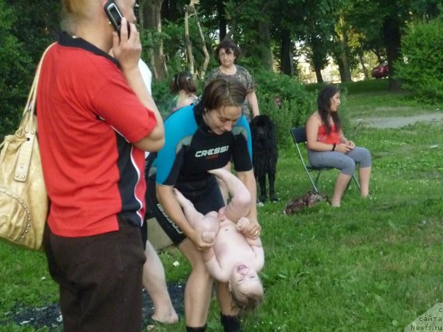 Фотография № 71581