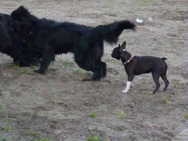 Фотография № 71586